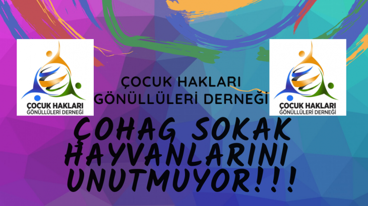 ÇOHAG SOKAK HAYVANLARINI UNUTMUYOR